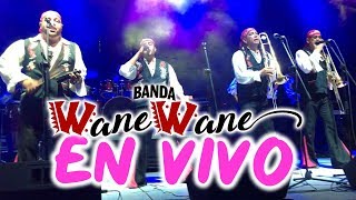 Banda Wane Wane 2019  Concierto Completo En Vivo Exitos Mix [upl. by Ahsima]