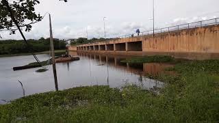 BARRAGEM DE ACOPIARA HOJE [upl. by Gerge353]