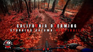 California Dreaming Autumn MTB Trails [upl. by Areta]