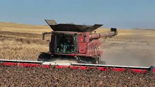 FIRST 50ft Sunflower Header in the USA Largest in the world [upl. by Aifas333]