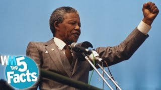 Top 5 Apartheid Facts [upl. by Halverson]