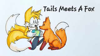 Tails Meets a Fox [upl. by Kcirddec]