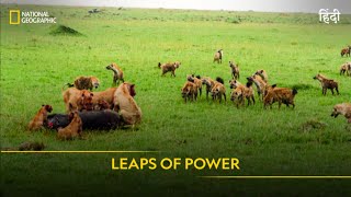 Leaps of Power  Animal Fight Club  Full Episode  S4  E5  National Geographic [upl. by Woody]