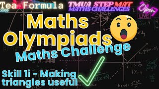 Olympiad Skill  Adding dividing lines Maths Challenge Prep [upl. by Sidonie]