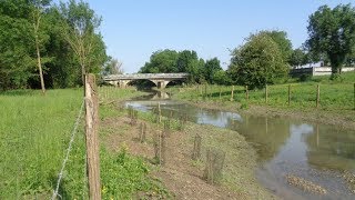 Restauration de la Thalie sur le territoire du Grand Chalon 71  AMO EPTB Saône et Doubs [upl. by Eeltrebor]