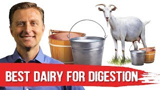 Best Dairy To Avoid Digestive Stress Lactose Intolerance – DrBerg [upl. by Oivaf]