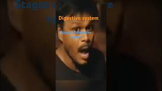 Digestive system stages of digestive systembiologykeerthisphere [upl. by Elias]