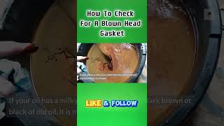 Blown Head Gasket How to Check in 60 Seconds Shorts CarProblems HeadGasketCheck DIYMechanic [upl. by Etteniuqna]