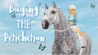 I FINALLY Bought the Percheron  Star Stable [upl. by Stila]