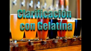 Como CLARIFICAR cerveza 🍺 con GELATINA Tutorial paso a paso [upl. by Lareine149]