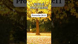 Proverbs 2011 🙏 short prayer proverbs [upl. by Kauffmann]