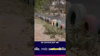 Conoce a Guillermo Checa activista que plantó más de 4 mil árboles NUESTRATIERRA Shortrpp [upl. by Aehs902]