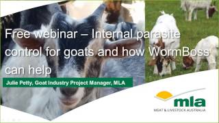 Goat Webinar  Internal parasite control and how WormBoss can help [upl. by Ahras338]