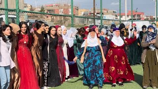 FEYSELE DERİKİ ®️  ŞEMSETTİN amp SÜMEYYA  21  01  2024  PART GOWEND  DAWETA MALBATA EREKLERA [upl. by Nnaer173]