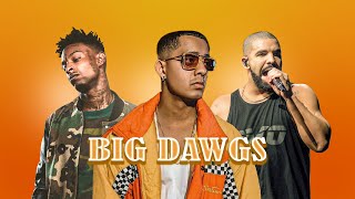 Hanumankind  Big Dawgs ft 21 Savage Drake Pop Smoke Project Pat Reels trending [upl. by Wini]