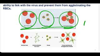 Medical Microbiology Follow Virology lec3 [upl. by Erdei689]