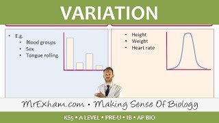 Variation  Post 16 Biology A Level PreU IB AP Bio [upl. by Eninahs11]