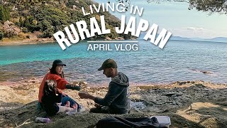 Living in Rural Japan We Move to a Renovated Akiya in Ine Japan  April Vlog [upl. by Glanville]