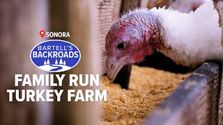 One of Californias oldest family run turkey farms  Bartells Backroads [upl. by Swerdna]