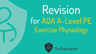 AQA ALevel PE 2022 Revision Exercise Physiology [upl. by Gwenette195]