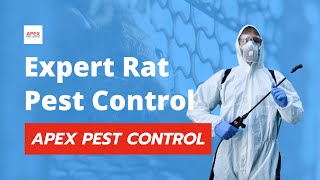 Expert Rat Pest Control  Prevention to Help Safeguard Your Property  Apex Pest Control [upl. by Ragas]