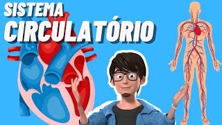 Sistema Circulatório ou Cardiovascular  Animação [upl. by Gallard790]