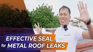 S4Ep3 WHAT IS The best sealant for metal roof Pol Castillo [upl. by Danyette]