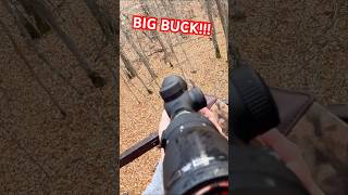 BIG BUCK DOWN🦌 hunting minnesota fyp youtube deer hunting viral opener deer bigbuck [upl. by Wehtam]