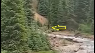 the quotBigfoot in the San Juansquot video [upl. by Emelyne]