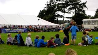 Bob Hogg Sheepdogs and Ducks Royal County of Berkshire Show 2013 [upl. by Bayless83]