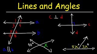 Parallel and Perpendicular Lines Transversals Alternate Interior Angles Alternate Exterior Angles [upl. by Eissoj]