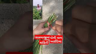 શાકભાજી માં ઉપયોગ આવે એવું કામ agriculture smart work gujaratifarmer 👍🌾🌿🌱👌🚜🐂🐃 [upl. by Esinereb]