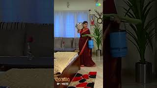 ROJA Serial Shorts Ep 112  1  Priyanka Sibbu Suryan  Saregama TV Shows Tamil  shorts ytshorts [upl. by Idonna]