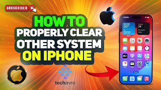 How To Properly Clear Other System Data on iPhone 2024 [upl. by Poliard777]