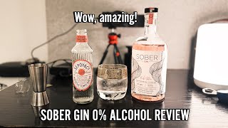 SOBER GIN REVIEW [upl. by Galina]