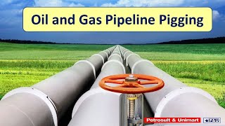 12 Oil and Gas Pipeline Pigging [upl. by Ntisuj]