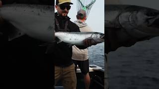 Big Puget Sound Coho Salmon 🎣 salmonfishing [upl. by Ardnekahs929]