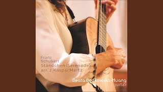 Franz Schubert Ständchen D957 arr for Guitar J Kaspar Mertz [upl. by Sheline]