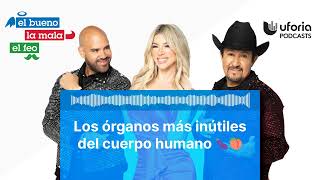 Los órganos más inútiles del cuerpo humano 🍆🍑  El Bueno la Mala y el Feo [upl. by Ellary]