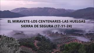 MIRAVETECENTENARESLAS HUELGASESPUMADERAS Sierra de Segura 171124 [upl. by Kiehl]