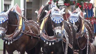 Hallertauer Volksfestauszug Wolnzach 2019 HD [upl. by Nivi]