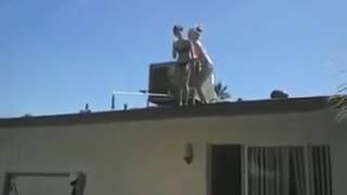 Mallorca  Balconing Fail Magaluf  OMG 2016 [upl. by Oicnoel]