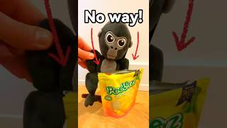 Trying peeling candy with my gorilla tag plush 😯 gorillatag vr shorts [upl. by Enimzzaj]