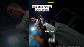 Legendary Jam by Chad amp Flea 😲 redhotchilipeppers rhcp chadsmith flea [upl. by Joellen]