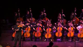 Ashokan Farewell  Troy High Orchestras  Spooktacular XIV 101717 [upl. by Lion]