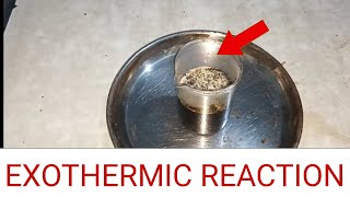 Amazing Exothermic Reaction learnsimultaneously [upl. by Janenna]