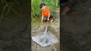 Survival Skills SIMPLE and USEFUL with stingray fish bushcraft camping outdoor [upl. by Maidel]