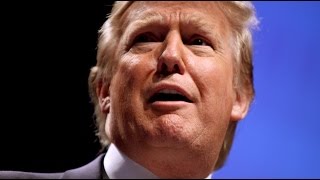 Top 10 Crazy Donald Trump Moments [upl. by Adiel]