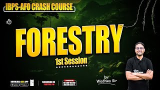 Forestry1  ibpsafo  ibpsso  Crash Course  Bilingual [upl. by Yleve]