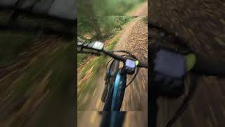 Danbury common bluebell run on the ebike in the mud [upl. by Yeleen]